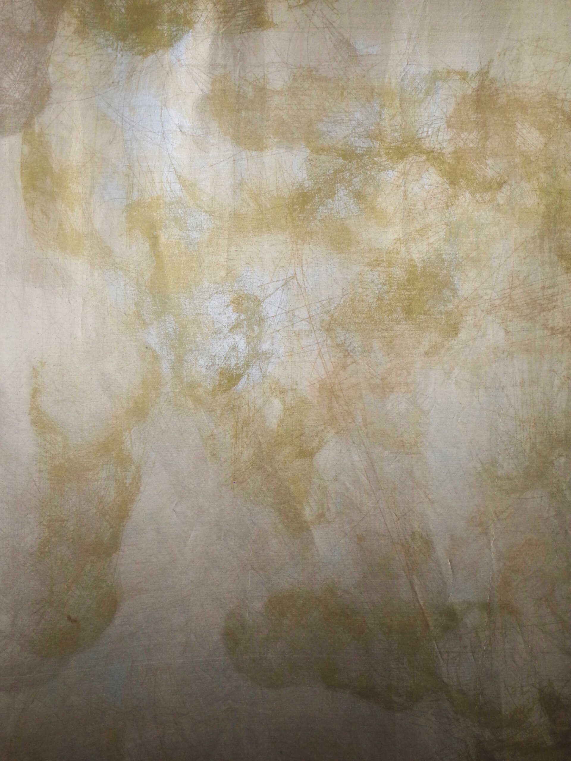 Anopsia_detail